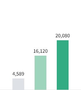 Other technical services such as system development: 4,589, S/W such as application programs: 16,120, H/W such as computer servers: 20,080 (KRW in millions)